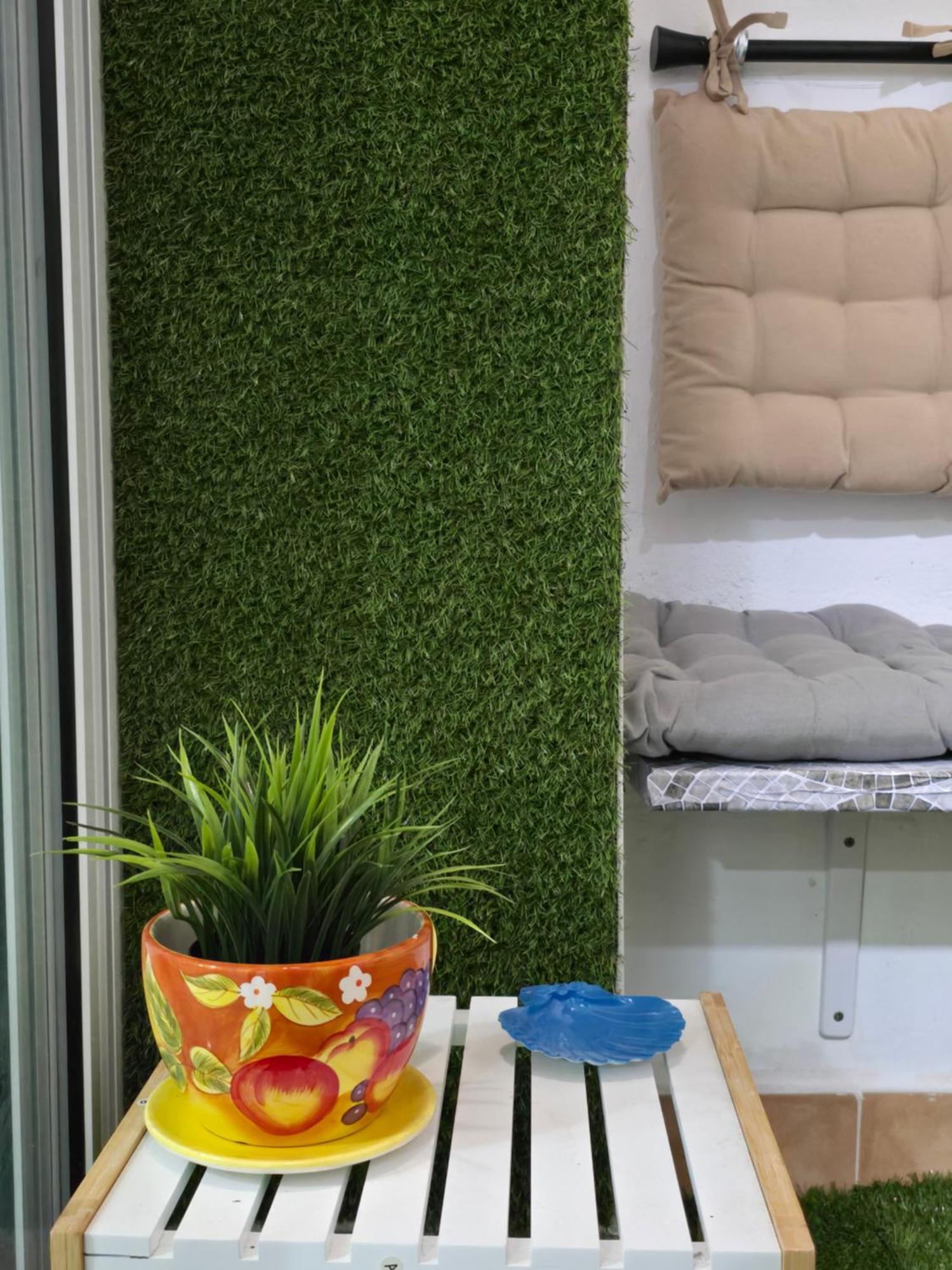 Apartment Strelitzia House *